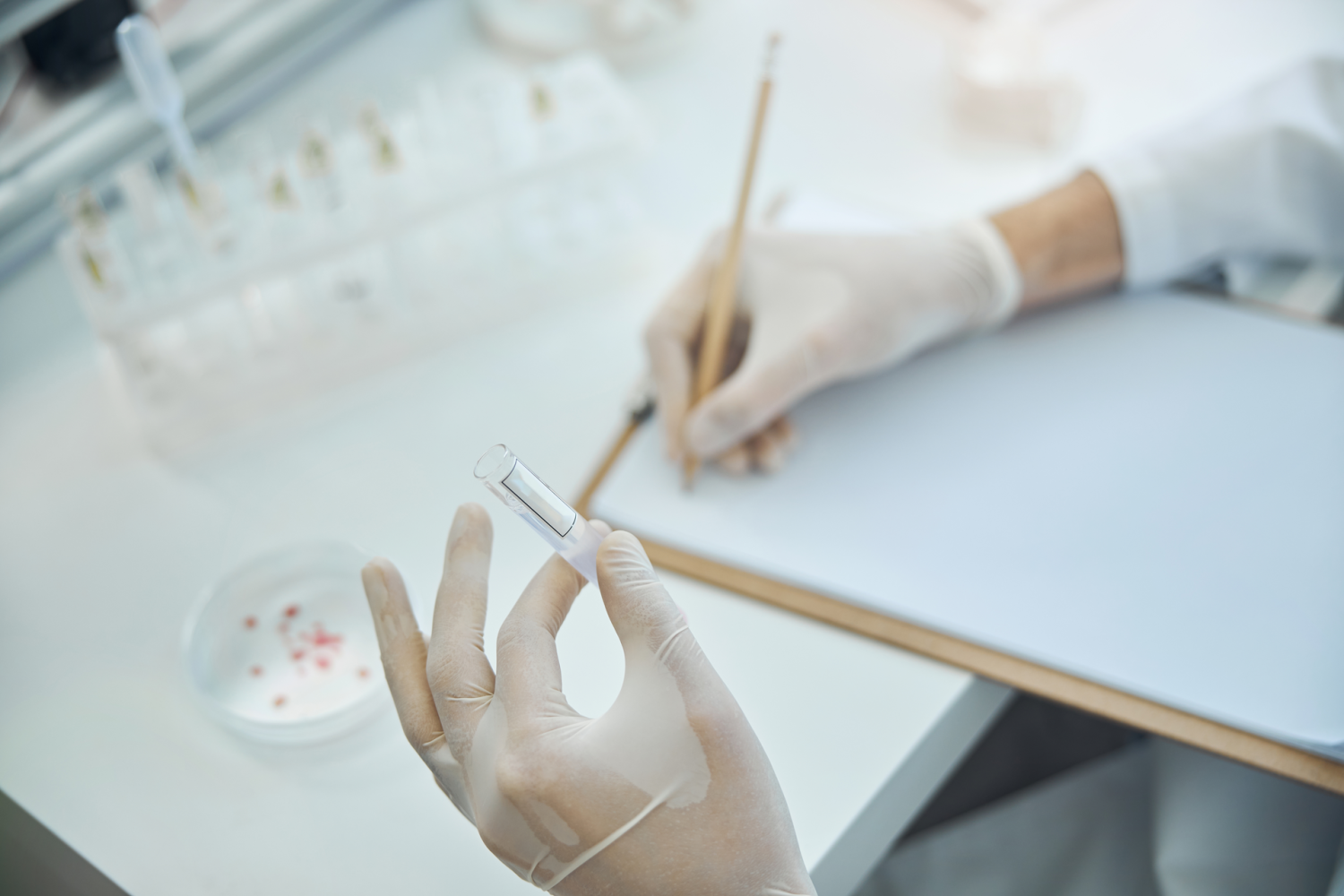 Certificamos nuevamente Iram 9001 - Nanni Laboratorios